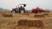 Dengan bantuan mesin pencacah dan penyemai inovatif yang terpasang pada traktor, mereka melakukan mulsa - sebuah proses di mana mesin yang terpasang pada traktor menyemprot benih serta meletakkan selapis jerami di atasnya untuk membantu menjaga kelembapan dan menjaga kesuburan tanah.  