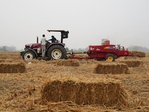 Potret Petani India Adopsi Metode Ramah Lingkungan untuk Melawan Polusi