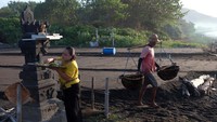 Dalam satu kali panen, dengan cuaca terik tanpa terhalang mendung, hujan, dan angin kencang, ia bisa memanen 20 kilogram garam, dan jika panen rutin dilakukan maka perkiraan dalam satu bulan ia dapat mengumpulkan 400 kilogram garam.