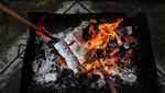 Surat Suara Rusak di Pilkada 2024 Dibakar