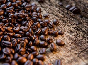 Konsumsi Kopi di Indonesia Diproyeksi Meningkat hingga 600 Ribu Kg