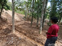 Kontraktor Diminta Setop Aktivitas Proyek Perumahan Pemicu Longsor di Godean