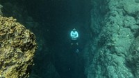 Pengunjung berenang di Gua Halo Tabung di Pulau Maratua, Berau. 