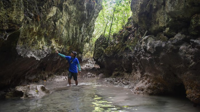 Seorang anggota kelompok sadar wisata (Pokdarwis) melihat tebing yang ada di Gua Kabok di Pulau Maratua, Berau, Kalimantan Timur, Selasa (26/11/2024). Bukit Mahligai, Goa Kabok hingga Goa Halo Tabung menjadi andalan destinasi wisata alam pemerintah kabupaten setempat untuk menggaet wisatawan dalam dan luar negeri. ANTARA FOTO/M Risyal Hidayat/tom.