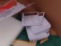 Viral Anggota KPPS di Ambon Diduga Coblos Kertas Suara Sisa, Bawaslu Usut