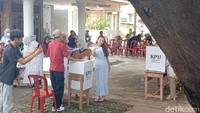 Ayu Ting Ting menunjukkan dua kerta suara yang akan dia masukkan ke dalam kotak suara. Foto: Febri/detikHOT