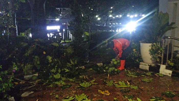 Evakuasi dahan pohon patah timpa motor di kantor DPRD Kabupaten Bogor