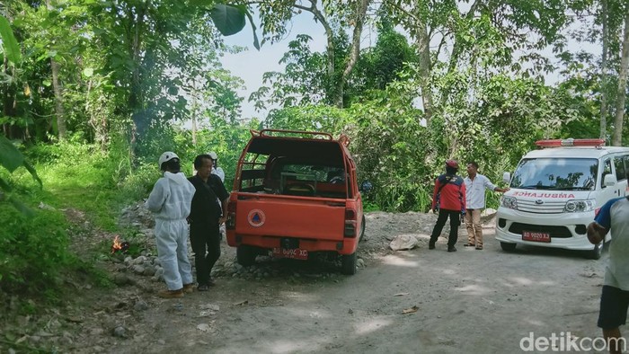 Petugas Damkar, TRC BPBD, Puskesmas, dan relawan mengecek lokasi sarang lebah hutan di Gemampir, Klaten, Rabu (27/11/2024).