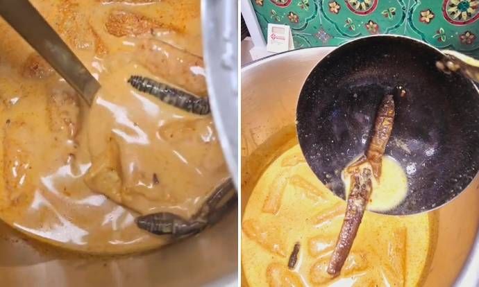 Tempat Makan Ini Sajikan Menu Laksa Singapura Pakai Cacing Tanah