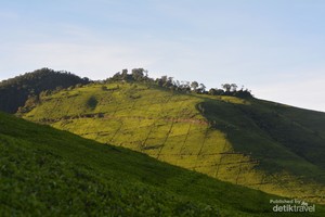 Puncak Sunan Ibu, Destinasi Spot Sunrise Kamu Selanjutnya