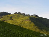 Puncak Sunan Ibu, Destinasi Spot Sunrise Kamu Selanjutnya
