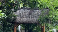 Jalan menuju desa adat cireundeu