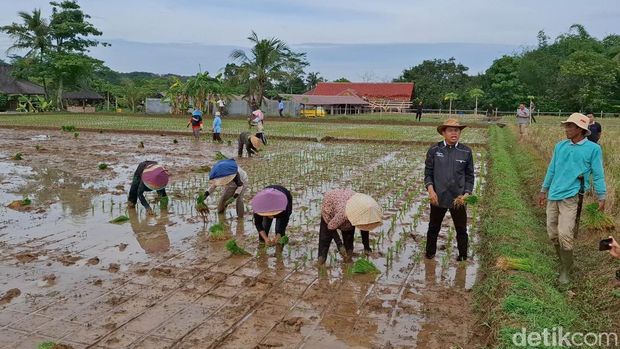 Aktivitas Dedi Mulyadi satu hari setelah pencoblosan Pilkada 2024 Jabar