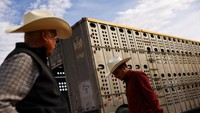 Para peternak berdiri di dekat trailer saat mereka berupaya mengembalikan ternak ke tempat asal mereka di fasilitas Persatuan Ternak Regional Chihuahua di perbatasan Jeronimo-Santa Teresa, di pinggiran Ciudad Juarez, Meksiko, Rabu (27/11). 