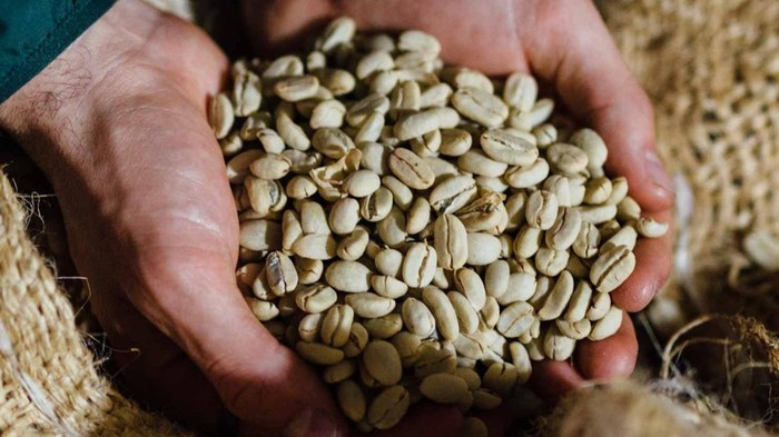 Mengenal 3 Biji Kopi Eksotik yang Unik, Chiroso hingga Tabi
