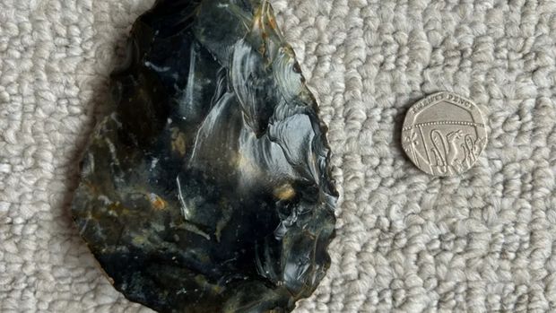 Bocah menemukan kapak batu purba yang diduga digunakan neanderthal.