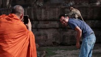 Ribuan monyet liar, yang sering dianggap pengganggu, justru diperlakukan seperti tamu kehormatan dalam festival ini.