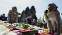 Masyarakat setempat ikut berperan dalam menyajikan makanan untuk para monyet.