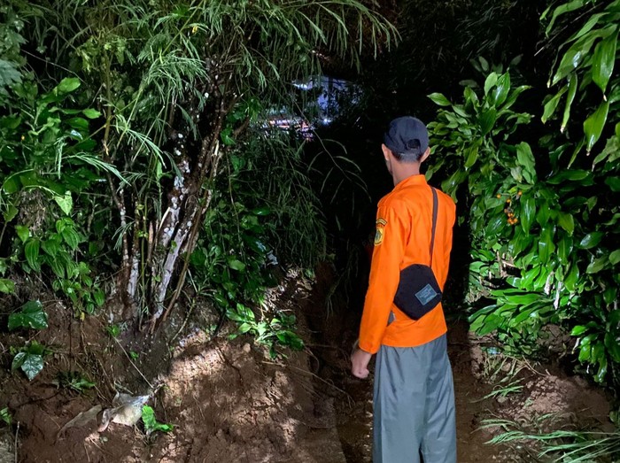 Petugas BPBD Kabupaten Bogor memeriksa longsoran tebin di Desa Tugu Utara, Cisarua. (Dok BPBD Kabupaten Bogor)