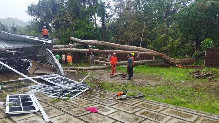 Petugas saat mengevakuasi pohon sengon yang menimpa studio foto di Ngentak, Seloharjo, Kapanewon Pundong, Bantul, Kamis (28/11/2024).