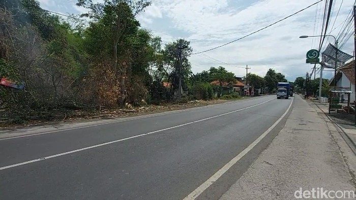 Pohon loa tumbang timpa mobil di Pasuruan
