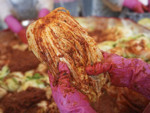 Studi Terbaru, Bakteri Kimchi Berpotensi Keluarkan Nanoplastik dari Tubuh