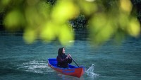 Pengunjung mendayung perahu di Laguna Kehe Daing, Pulau Kakaban, Berau, Kalimantan Timur.