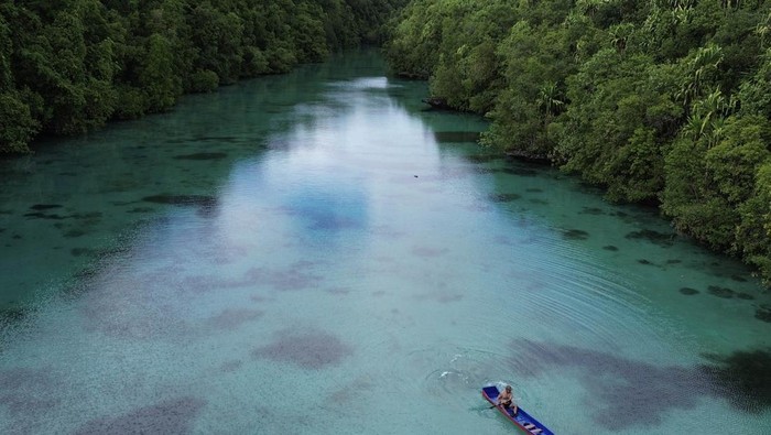 Pengunjung mendayung perahu di Laguna Kehe Daing, Pulau Kakaban, Berau, Kalimantan Timur, Rabu (27/11/2024). Kehe Daing atau lubang ikan yang merupakan destinasi wisata alam yang dikelola oleh kelompok sadar wisata (pokdarwis) Payung-payung dan Badan Usaha Milik Kampung (BUMK) Maratua Payung Sejahtera dengan pendampingan Yayasan Konservasi Alam Nusantara (YKAN) untuk menggaet wisatawan dalam dan luar negeri. ANTARA FOTO/M Risyal Hidayat/nym.