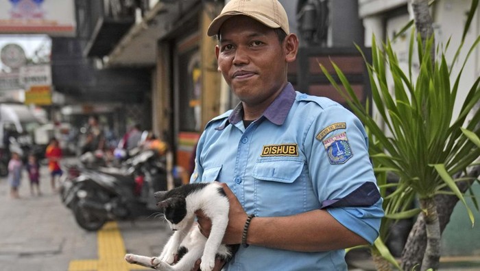 Organisasi penyelamat hewan di Jakarta melakukan sterilisasi pada kucing jalanan. Program ini bertujuan mencegah perkembangbiakan kucing liar.