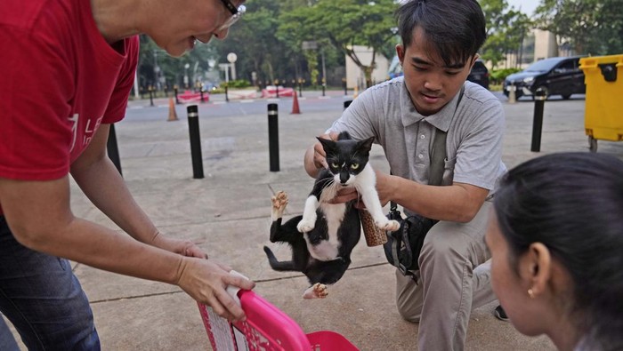 Organisasi penyelamat hewan di Jakarta melakukan sterilisasi pada kucing jalanan. Program ini bertujuan mencegah perkembangbiakan kucing liar.