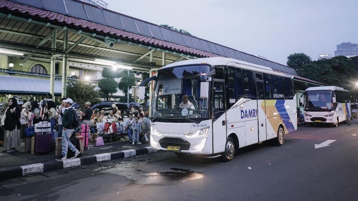 Jadwal dan Rute DAMRI