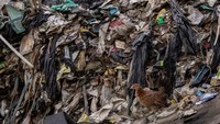Gunungan sampah plastik menumpuk di area tersebut, mencerminkan tingkat polusi yang kian mengkhawatirkan akibat penggunaan plastik berlebihan.