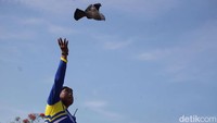 Ada juga yang bermain burung merpati.