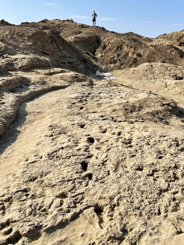 Penampakan Jejak Kaki Fosil Tunjukkan Manusia Purba Hidup Berdampingan di Kenya A trackway of footprints in northern Kenya hypothesized to have been created by a Paranthropus boisei individual, seen in this photograph released on November 28, 2024. Neil T. Roach, Harvard University /Handout via REUTERS    THIS IMAGE HAS BEEN SUPPLIED BY A THIRD PARTY. NO RESALES. NO ARCHIVES.