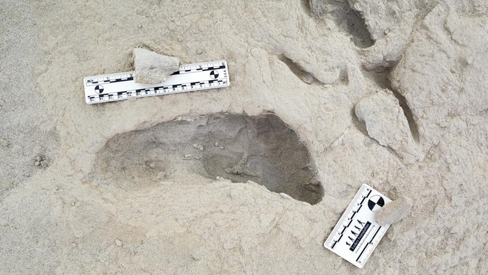 Penampakan Jejak Kaki Fosil Tunjukkan Manusia Purba Hidup Berdampingan di Kenya A fossil footprint in northern Kenya hypothesized to have been created by a Paranthropus boisei individual, is seen in this photograph released on November 28, 2024. Kevin G. Hatala, Chatham University /Handout via REUTERS    THIS IMAGE HAS BEEN SUPPLIED BY A THIRD PARTY. NO RESALES. NO ARCHIVES.