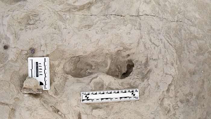 Penampakan Jejak Kaki Fosil Tunjukkan Manusia Purba Hidup Berdampingan di Kenya A fossil footprint in northern Kenya hypothesized to have been created by a Paranthropus boisei individual, is seen in this photograph released on November 28, 2024. Kevin G. Hatala, Chatham University /Handout via REUTERS THIS IMAGE HAS BEEN SUPPLIED BY A THIRD PARTY. NO RESALES. NO ARCHIVES.