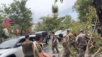 Petugas berhasil memindahkan pohon yang tumbang ke pinggir jalan.