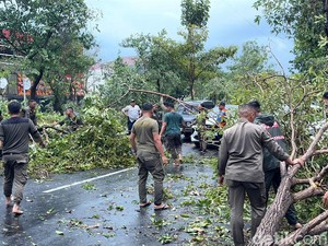 Pohon Tumbang-Kanopi Terbang Tersapu Angin Kencang di Dharmahusada Surabaya