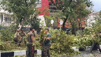 Sejumlah petugas Satpol PP Kota Surabaya melakukan evakuasi terhadap sejumlah pohon tumbang. Beberapa batang pohon telah dipinggirkan dan dipotong.