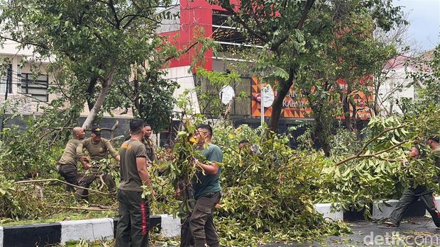 Pohon Tumbang di Jalan Dharmahusada Indah Surabaya