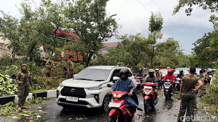Pohon Tumbang di Jalan Dharmahusada Indah Surabaya