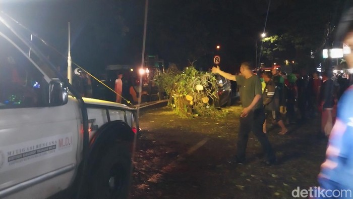 Pohon tumbang timpa mobil di Malang