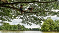 Anak-anak bermain di Situ Ciwaka, Pengampelan, Kota Serang, Banten, Kamis (28/11/2024). 