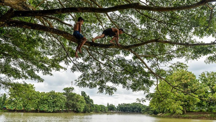 Potensi wisata Situ Ciwaka Anak-anak bermain di Situ Ciwaka, Pengampelan, Kota Serang, Banten, Kamis (28/11/2024). Situ Ciwaka seluas 40.000 meter persegi yang merupakan pemasok utama air irigasi di kawasan Kota Serang tersebut memiiki potensi wisata dengan keindahan alamnya tapi belum dikelola dengan baik, seperti infrastruktur penunjang yang belum memadai. ANTARA FOTO/Putra M. Akbar/gp/aww.