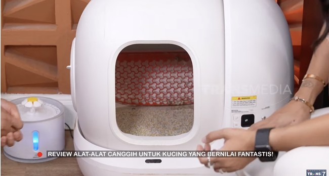 Kucing-kucingnya yang kebanyakan dari ras Shorthair dimanjakan dengan gadget canggih. Salah satunya tempat khusus untuk buang kotoran. (Foto: YouTube/Trans7 Official)