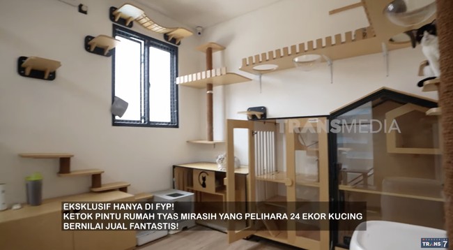 Sebagai penyayang kucing, Tyas memiliki beberapa ruangan khusus untuk kucing-kucing mahalnya. Bak asrama, kamar kucing dibagi berdasarkan jenis kelamin. Terdapat pula ruangan untuk kucingnya bersalin. (Foto: YouTube/Trans7 Official)