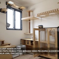 Sebagai penyayang kucing, Tyas memiliki beberapa ruangan khusus untuk kucing-kucing mahalnya. Bak asrama, kamar kucing dibagi berdasarkan jenis kelamin. Terdapat pula ruangan untuk kucingnya bersalin. (Foto: YouTube/Trans7 Official)