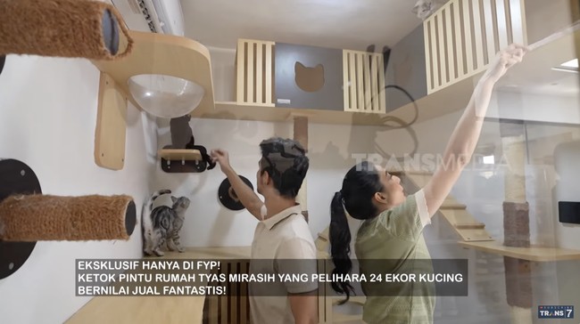Total, mereka memiliki 24 kucing. Tyas juga terbuka bagi mereka yang ingin mengadopsi kucing. (Foto: YouTube/Trans7 Official)