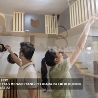 Total, mereka memiliki 24 kucing. Tyas juga terbuka bagi mereka yang ingin mengadopsi kucing. (Foto: YouTube/Trans7 Official)