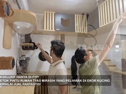 10 Potret Rumah Mewah Tyas Mirasih dan Tengku Tezi, Dihuni 24 Kucing Mahal